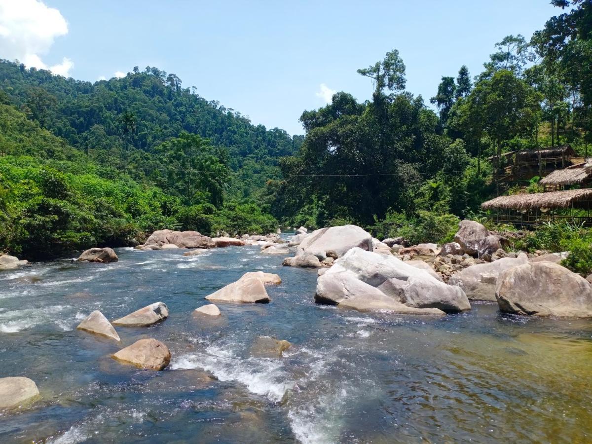 Gió Lào Eco Lodge - Đảo chè Thanh Chương Trai Do Extérieur photo