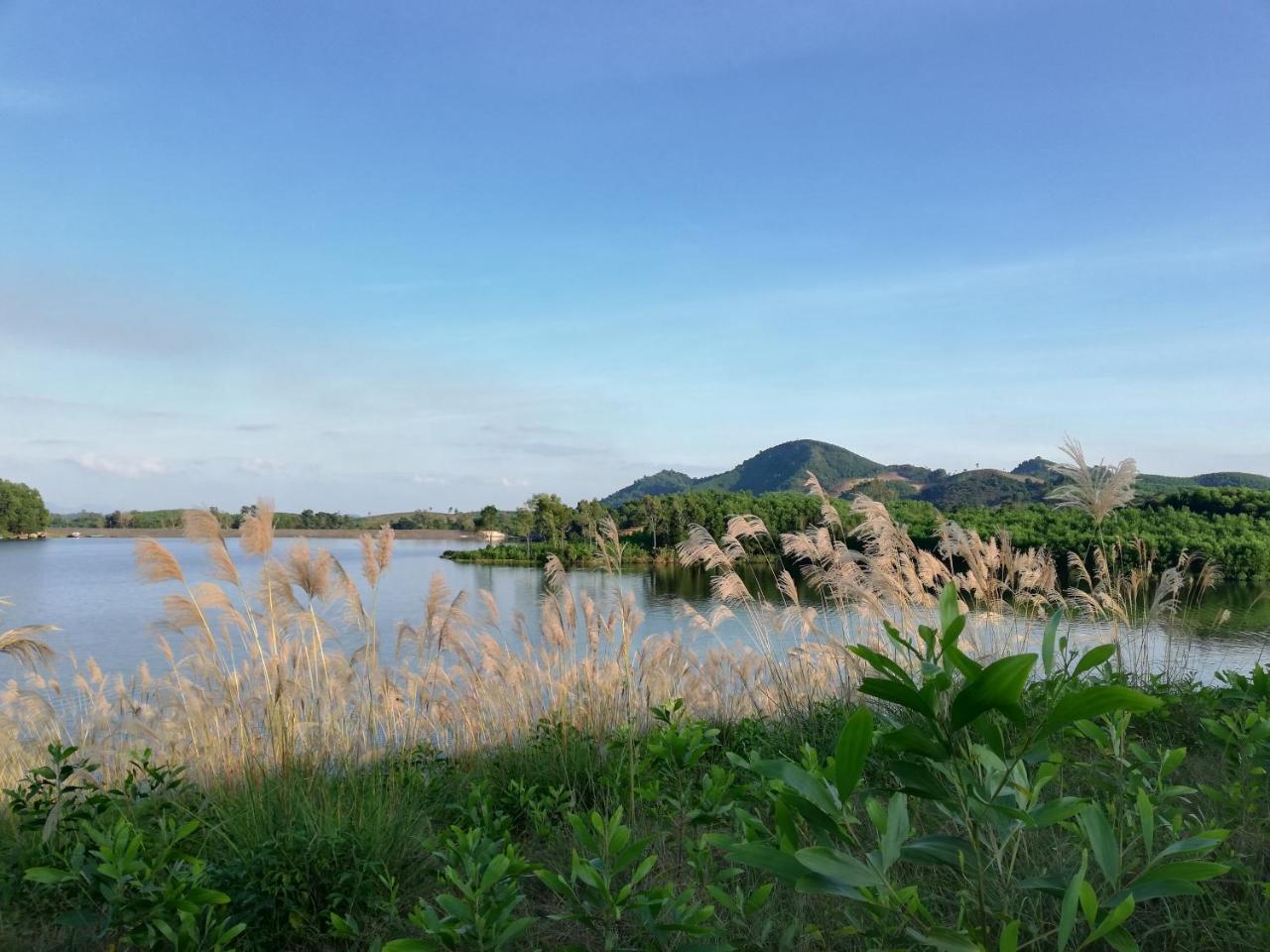 Gió Lào Eco Lodge - Đảo chè Thanh Chương Trai Do Extérieur photo