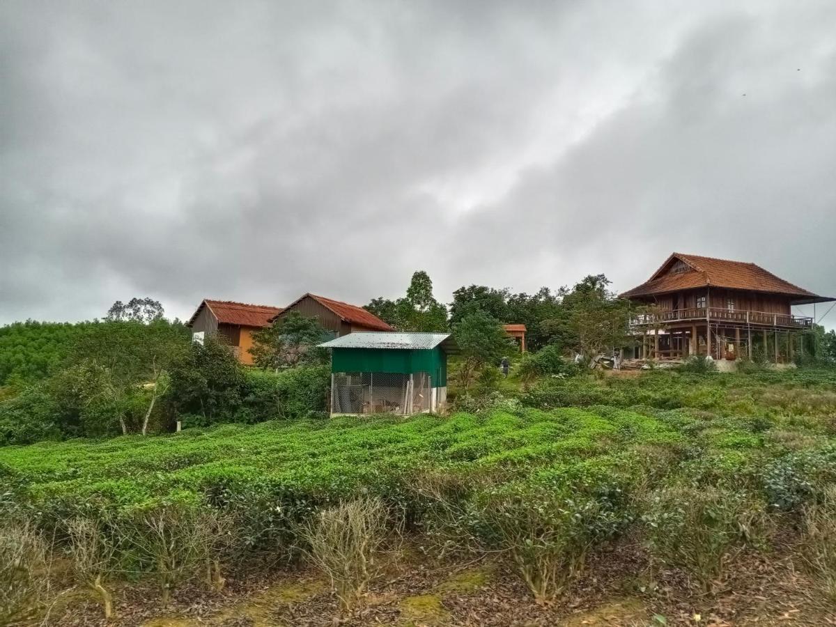 Gió Lào Eco Lodge - Đảo chè Thanh Chương Trai Do Extérieur photo